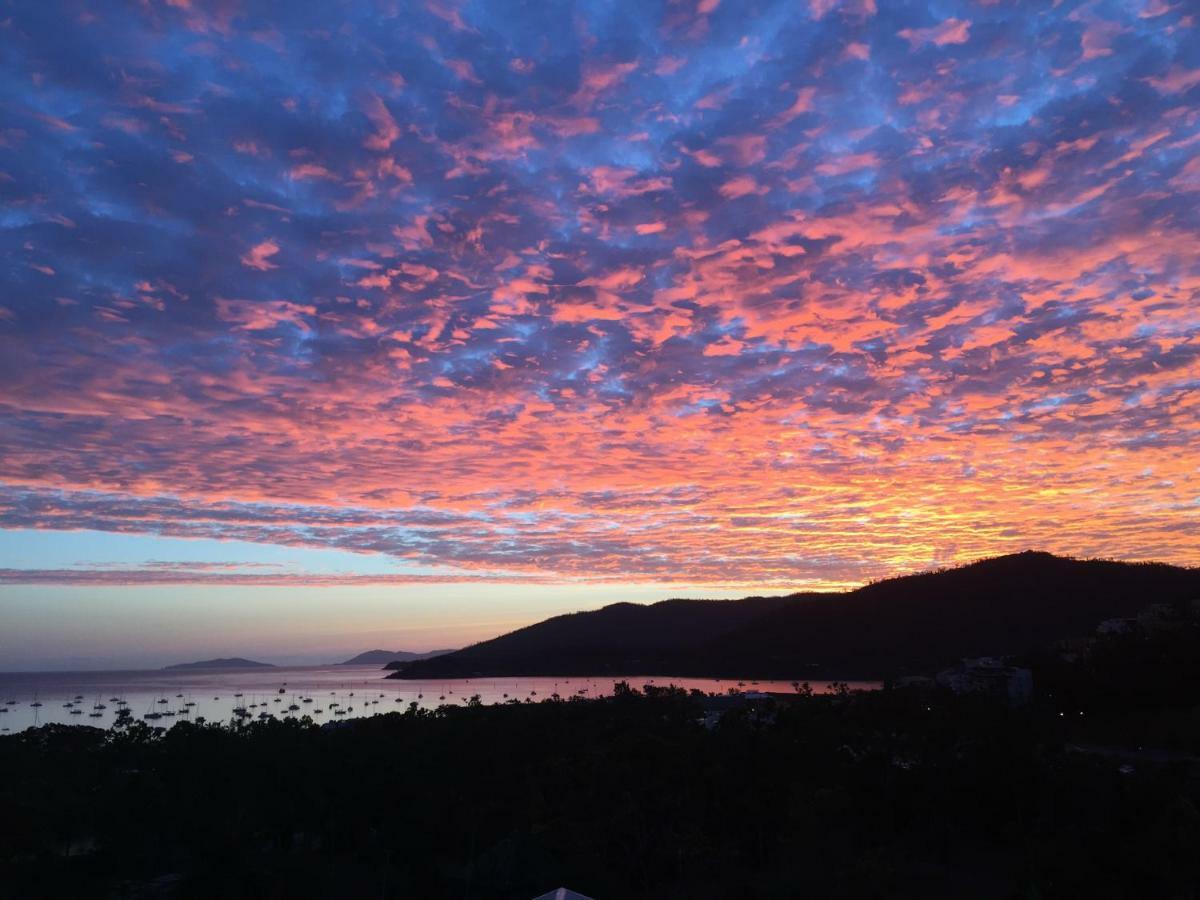 Island Views Bed and Breakfast Airlie Beach Exteriör bild